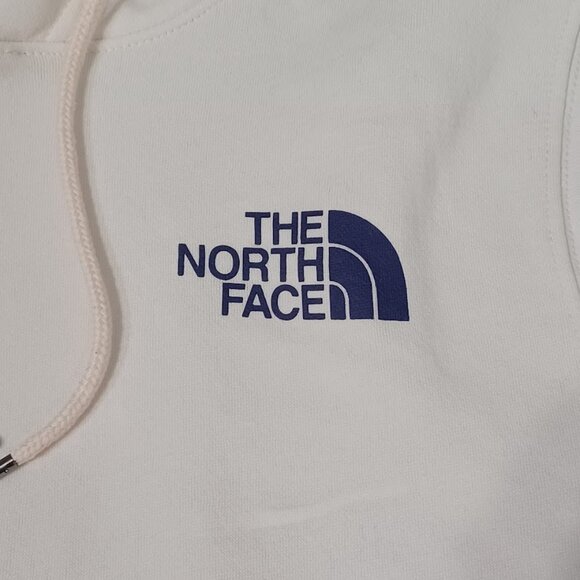 The North Face Mens Places We Love Pullover Hoodie Garden White Size Small Soft - Picture 3 of 16